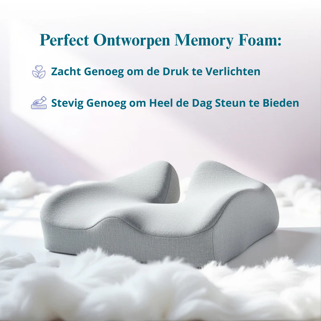 Healthbeam - Orthopedic Seat Pillow