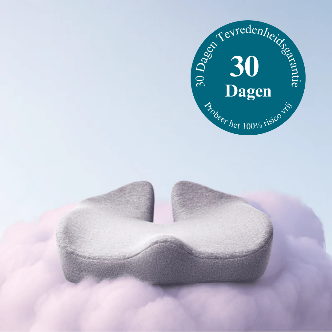 Healthbeam - Orthopedic Seat Pillow