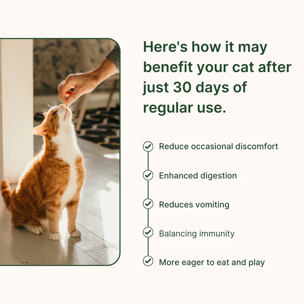 Purrlife Feline Biome™ Probiotic Cat Supplement