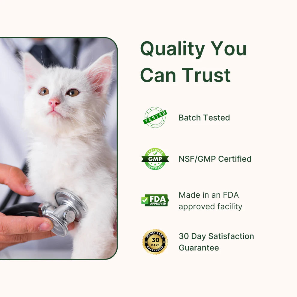 Purrlife Feline Biome™ Probiotic Cat Supplement