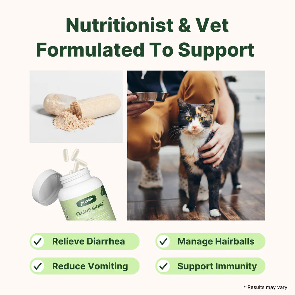 Purrlife Feline Biome™ Probiotic Cat Supplement