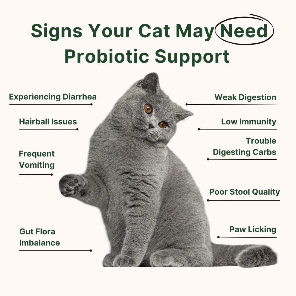 Purrlife Feline Biome™ Probiotic Cat Supplement