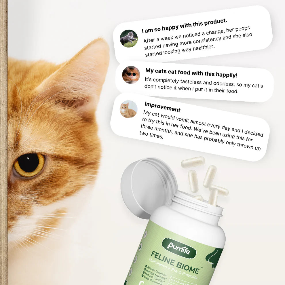 Purrlife Feline Biome™ Probiotic Cat Supplement