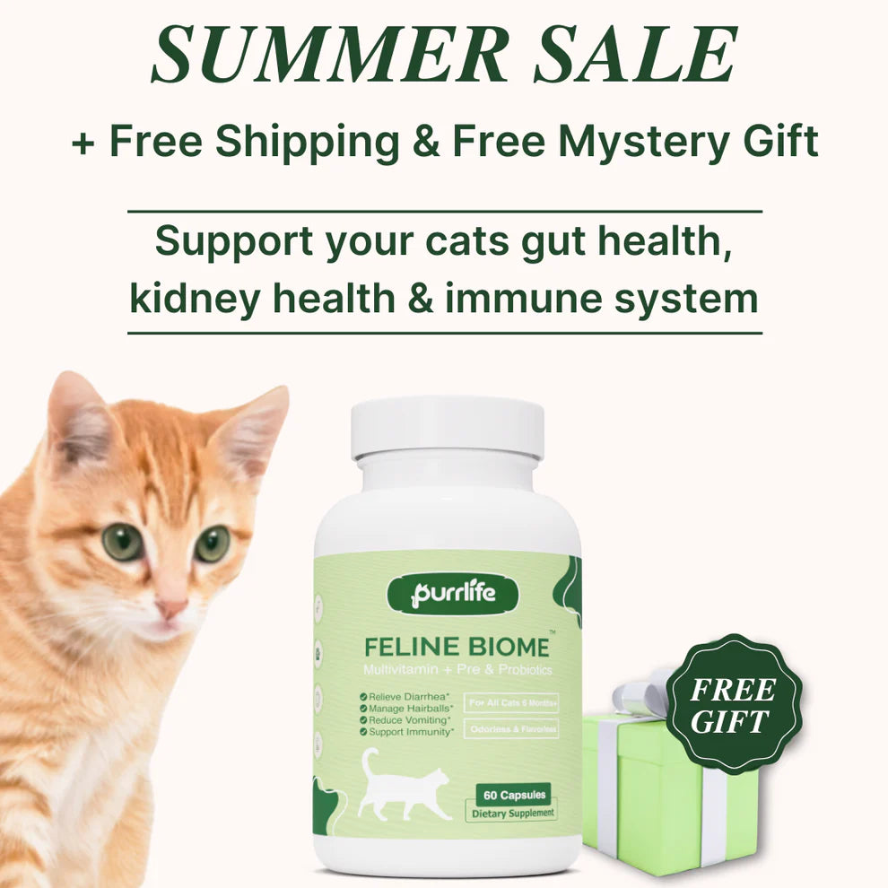 Purrlife Feline Biome™ Probiotic Cat Supplement