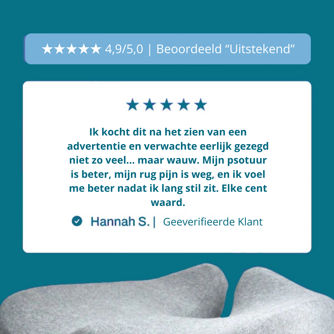 Healthbeam - Orthopedic Seat Pillow